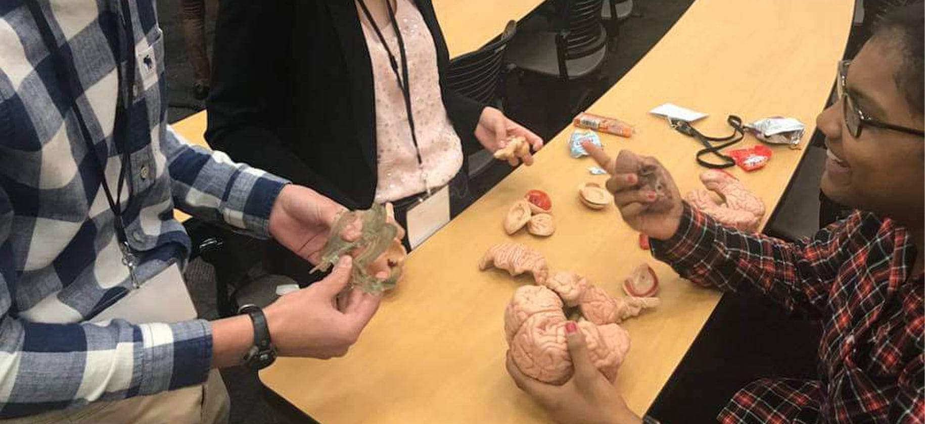 Explorations in Neuroscience Research Internship Program Ohio State Explorations in Neuroscience Research Internship Program Ohio State