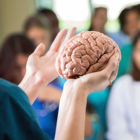 Neuroscience Degree