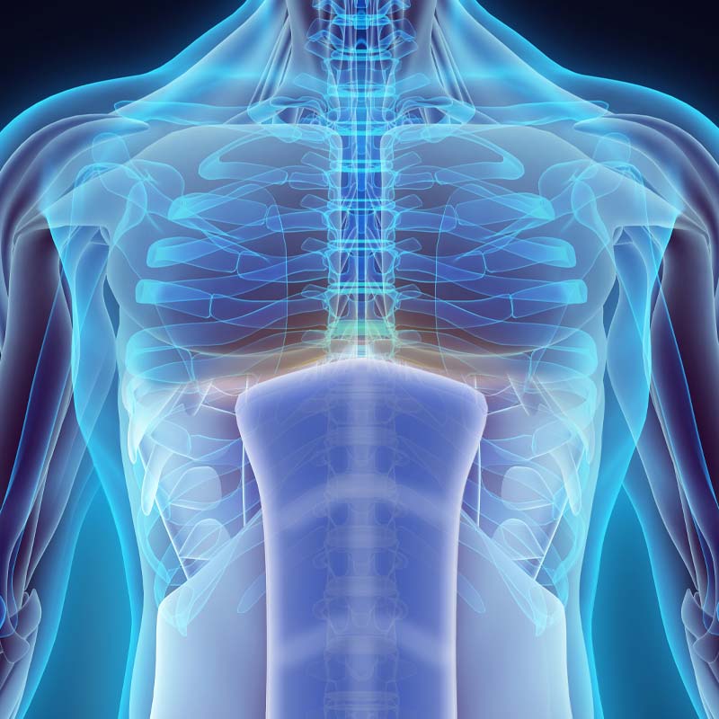 Abdominal Core Health