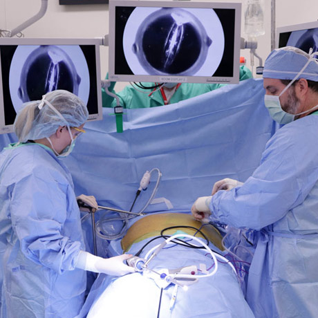 Criteria for Bariatric Surgery