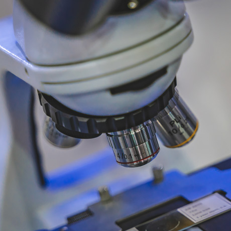 Microscope