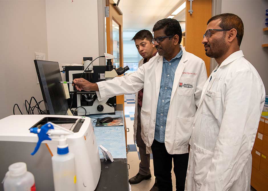 Students in the Immunology and Microbial Pathogenesis graduate program working in the lab.