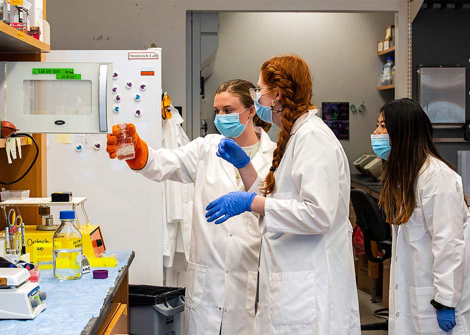 Students in the MS in Immunology and Microbial Pathogenesis graduate program working in the lab
