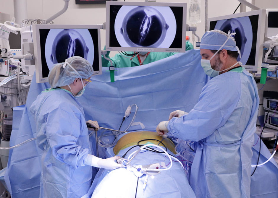 Multidisciplinary Bariatric Surgery