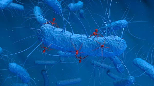3D rendering of a bacteria being attacked by phages