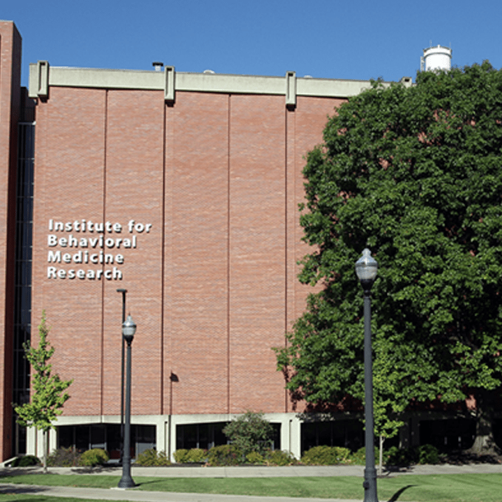 ibbi building in sun