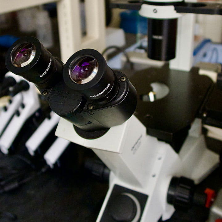 Image of a microscope