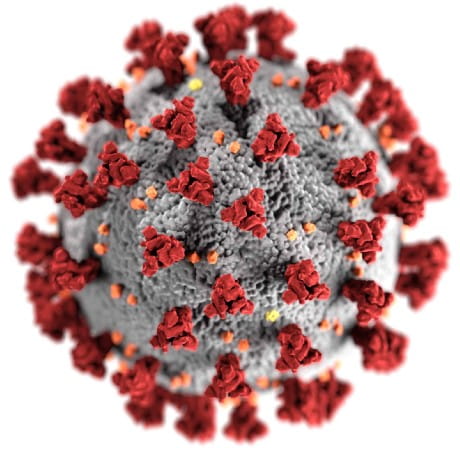 Coronavirus-Public-Image_460x460