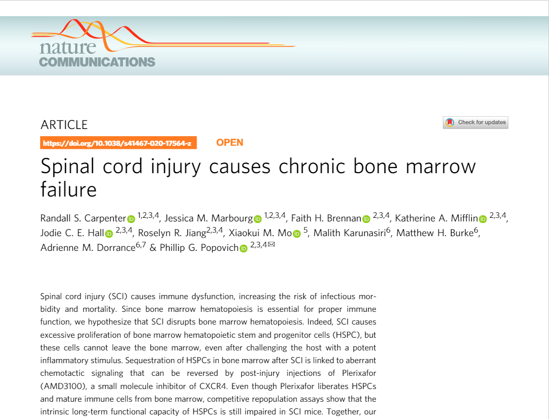 Spinal cord injuries in mice