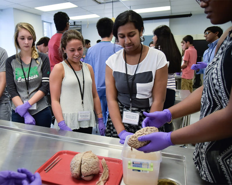 Neuroscience Internships Summer 2024 Brandi Estrella