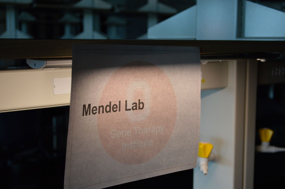 Mendel lab