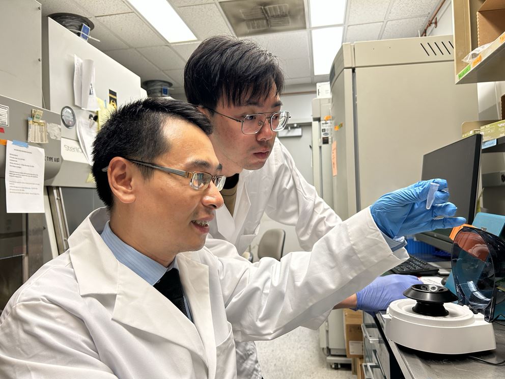 Acton shot of Dr. Qing Lin in Lab