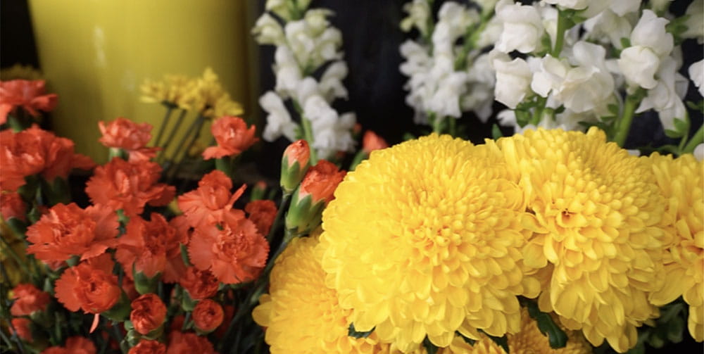 Red, yellow and white flowers