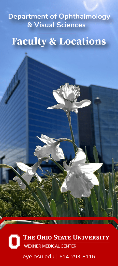 image of the front of our faculty brochure, white flowers with building in the background