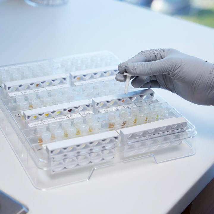 allergy kits research