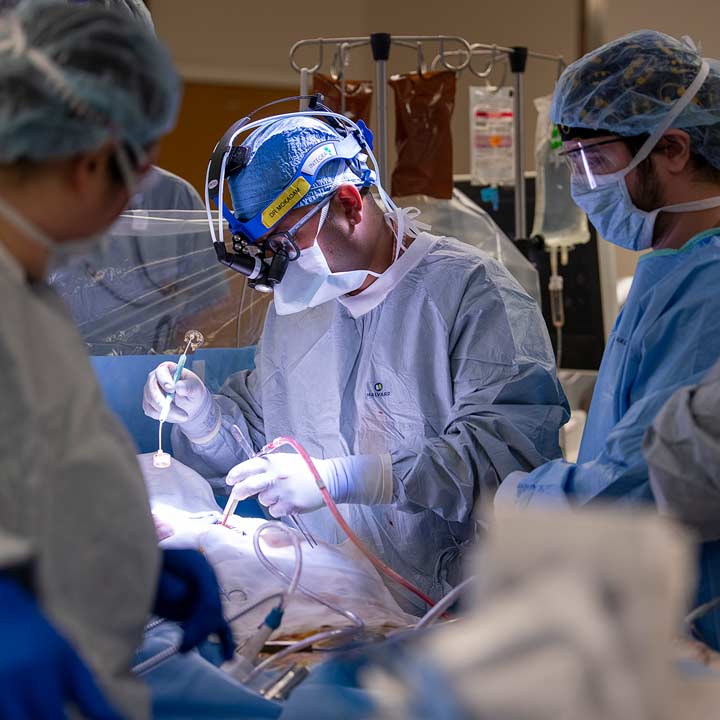 A surgeon resident performing a surgery in the operating room with an attending surgeon supervising