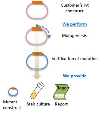 MBC lab service overview