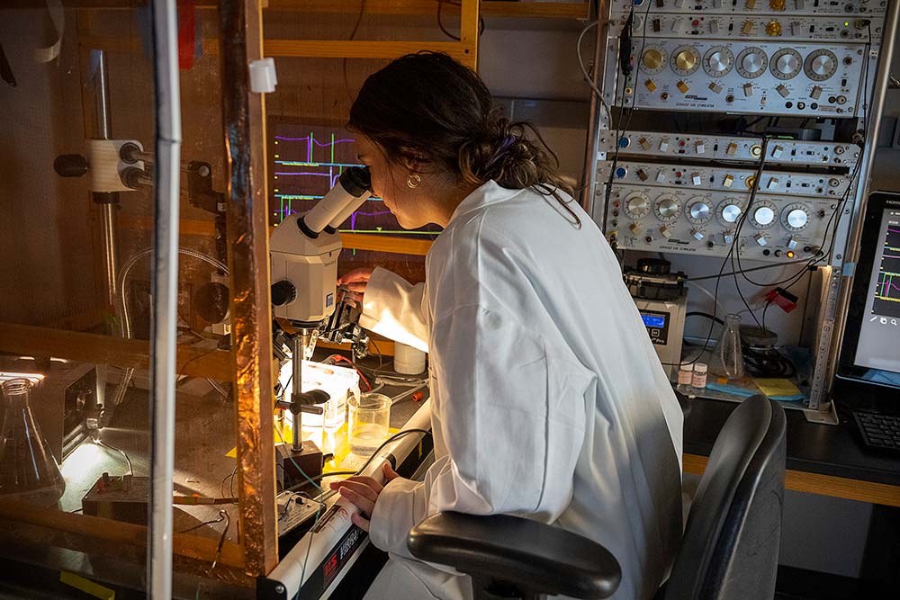 Student looking through a microscope