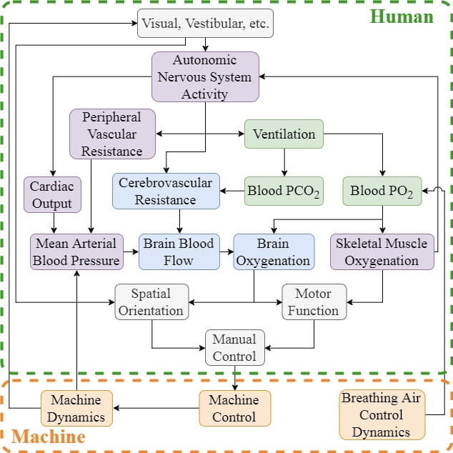 Human Machine Coupling 2_460x460