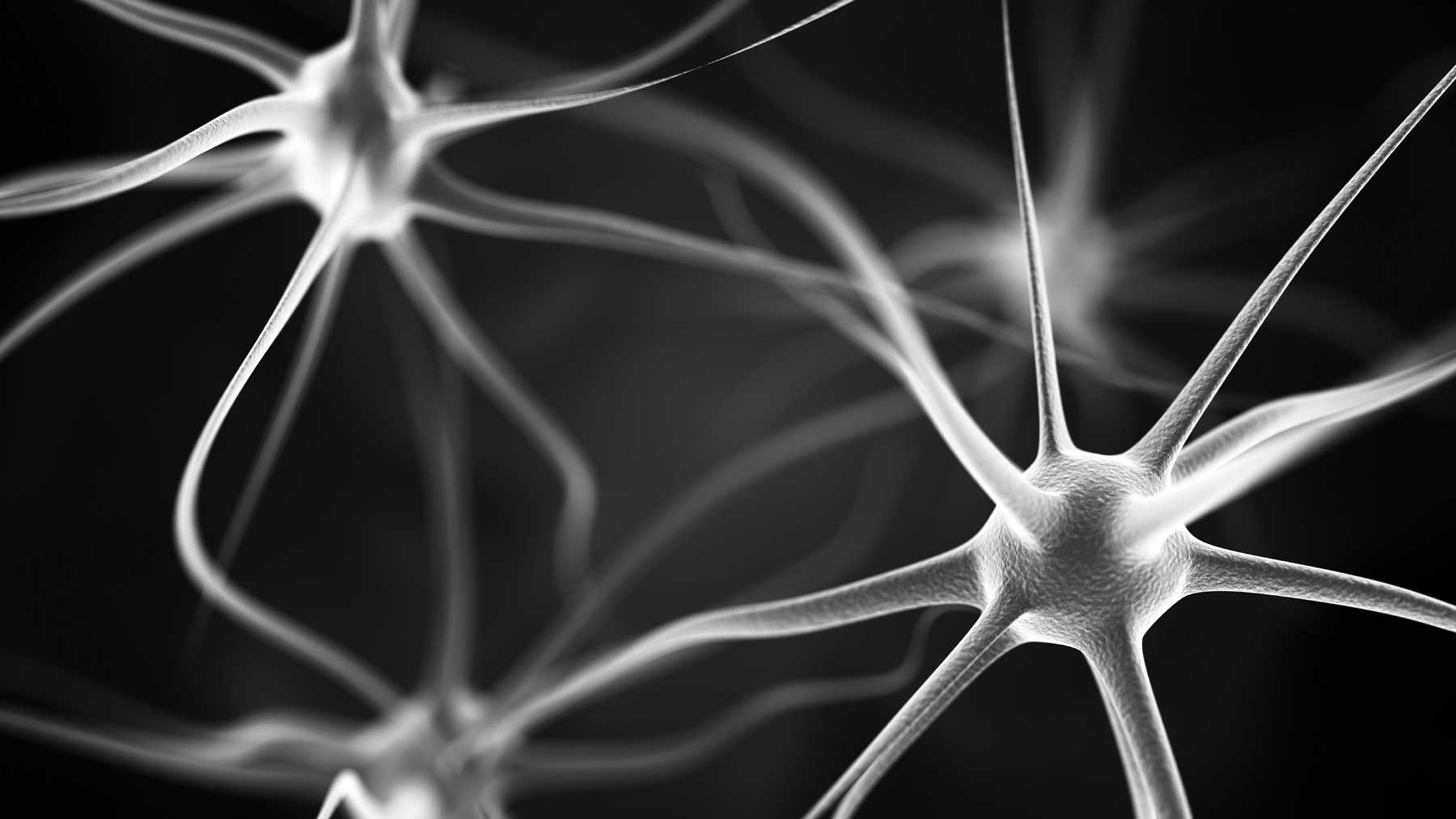 Neurons_bw_blog