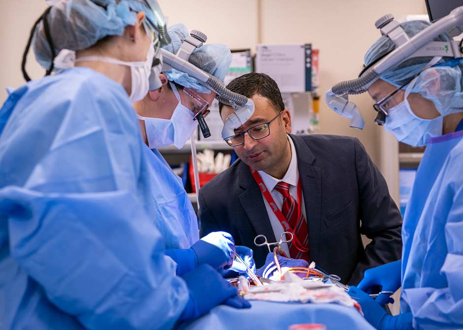 Heart simulation with Dr. Mokadam