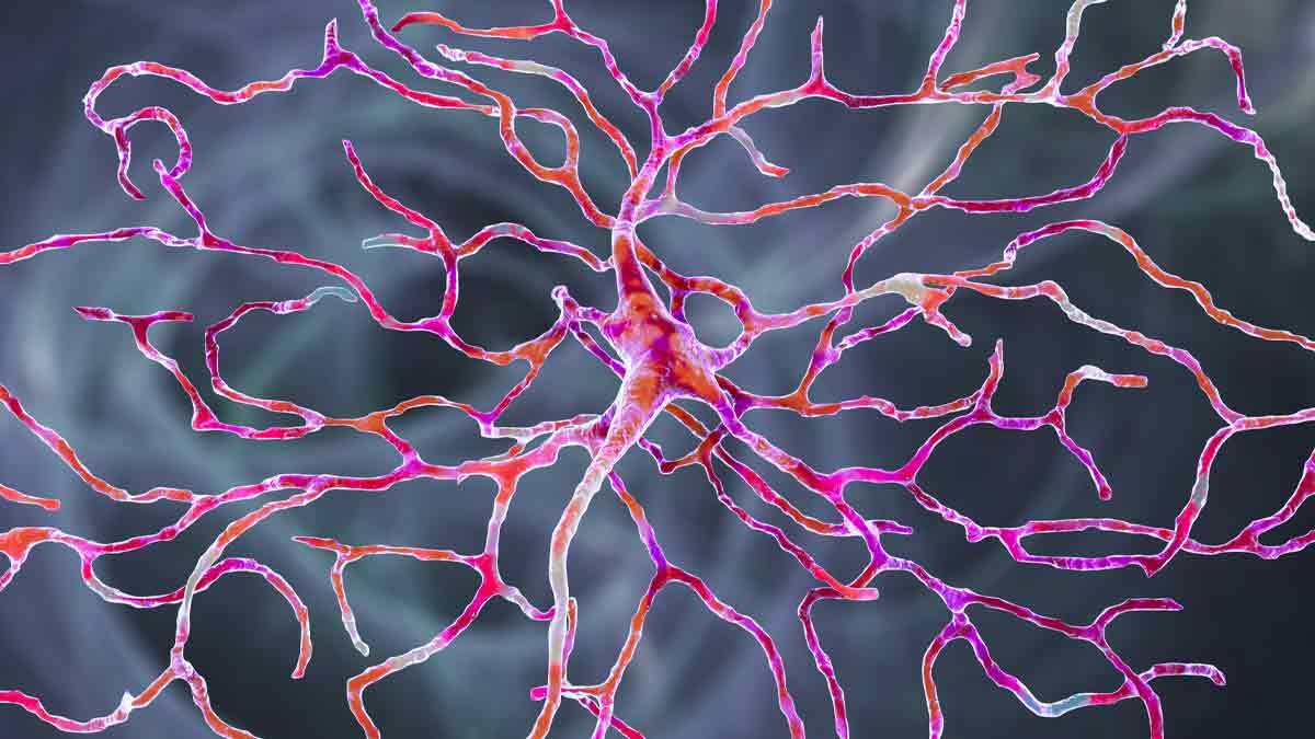 Retinal Neuron