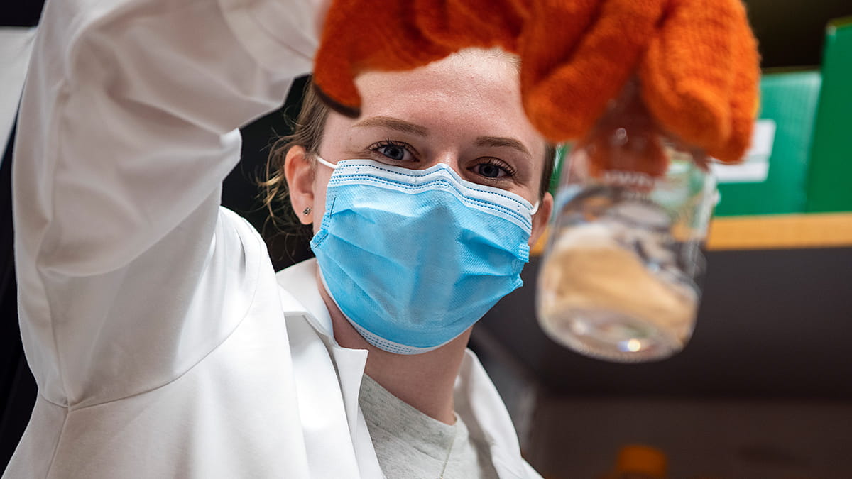 Young College of Medicine female faculty member holding a beaker in a laboratory. 