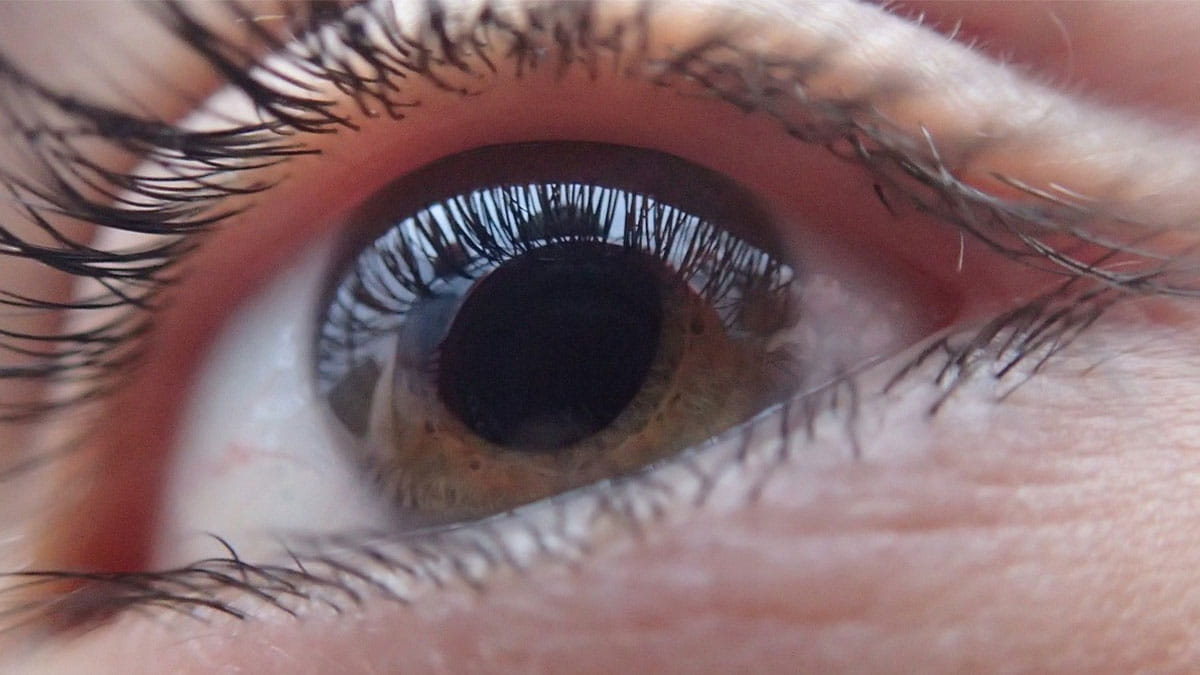 close-up of eyeball