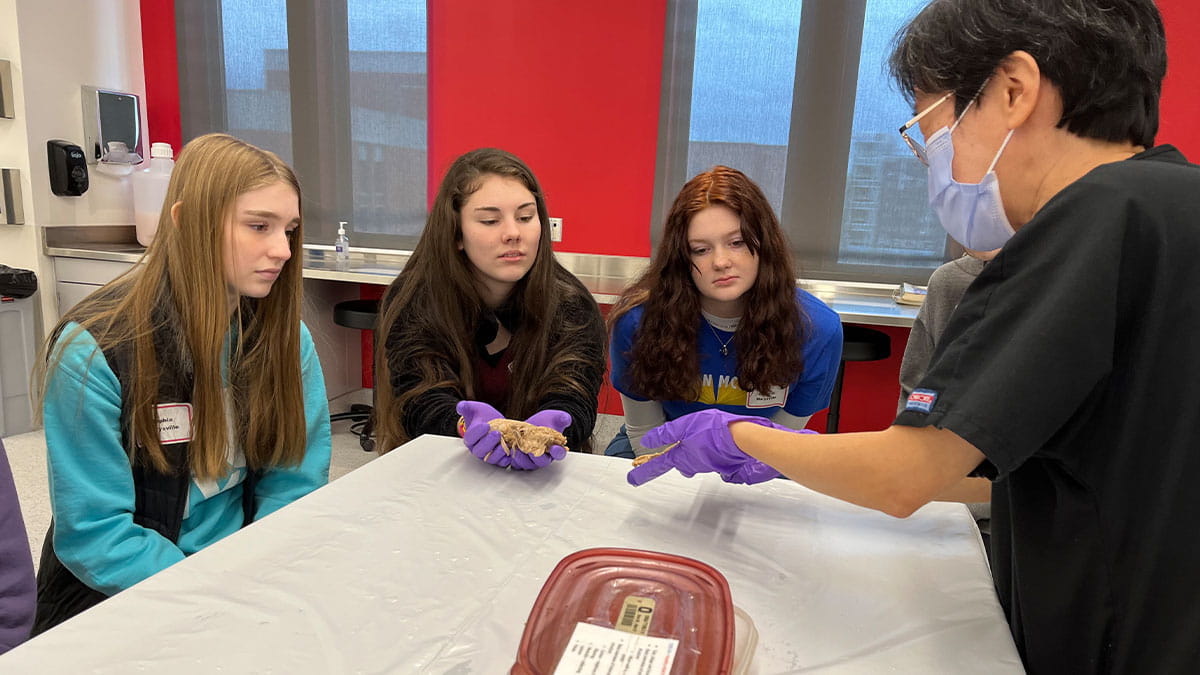 students view kidney