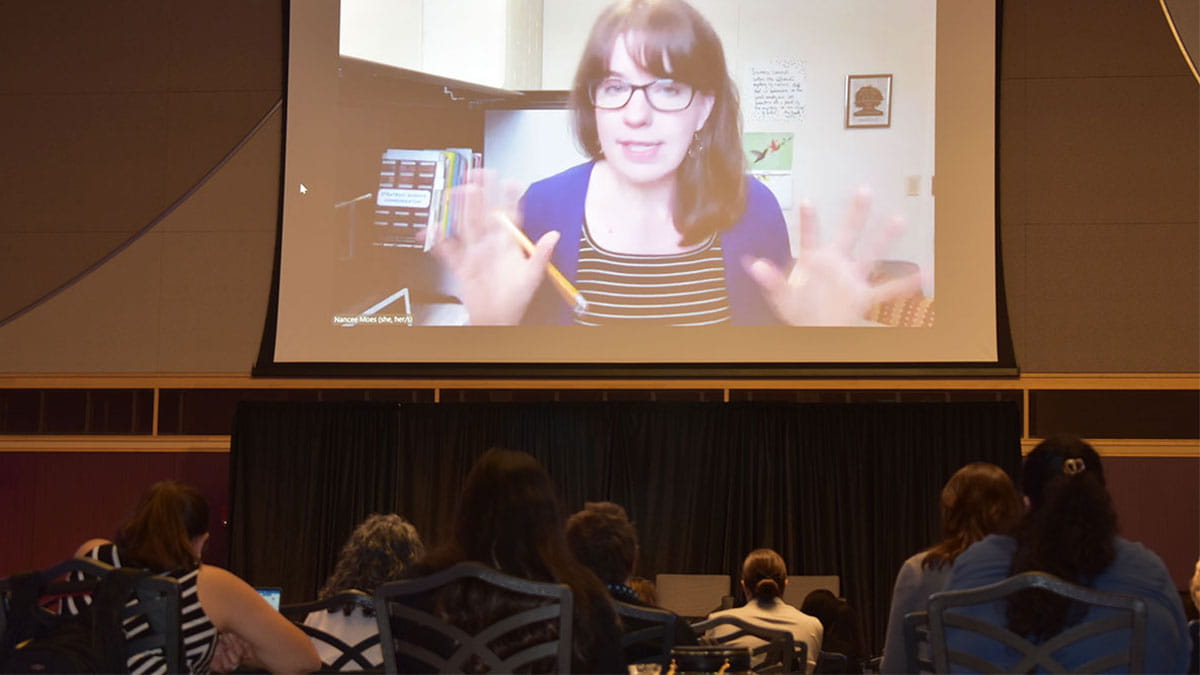 A person giving a video presentation