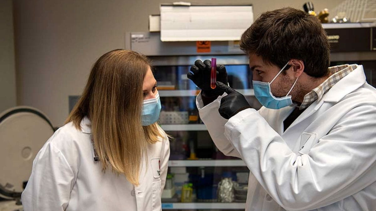 Two scientists examining a test tube