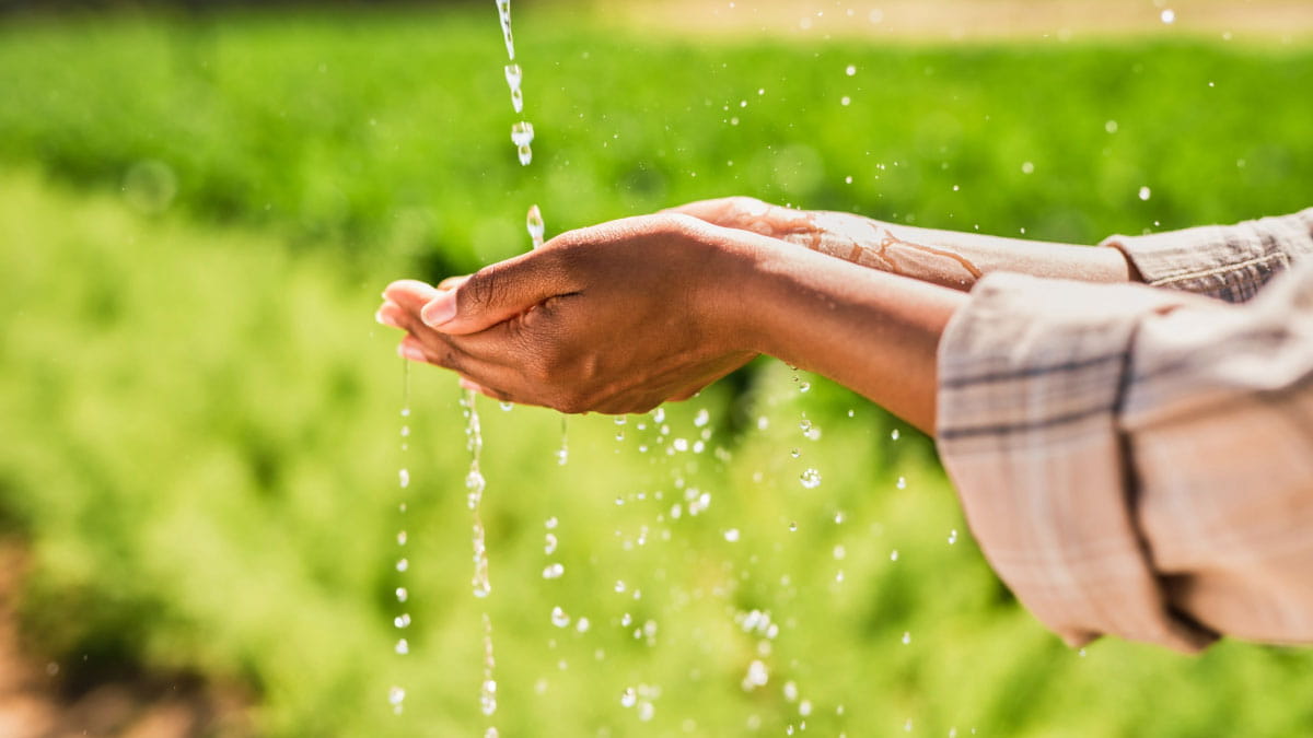 Water dripping into the palms of hands