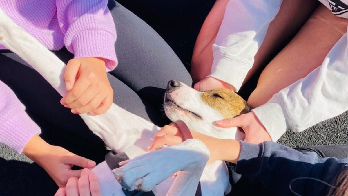 A group of people holding a dog.