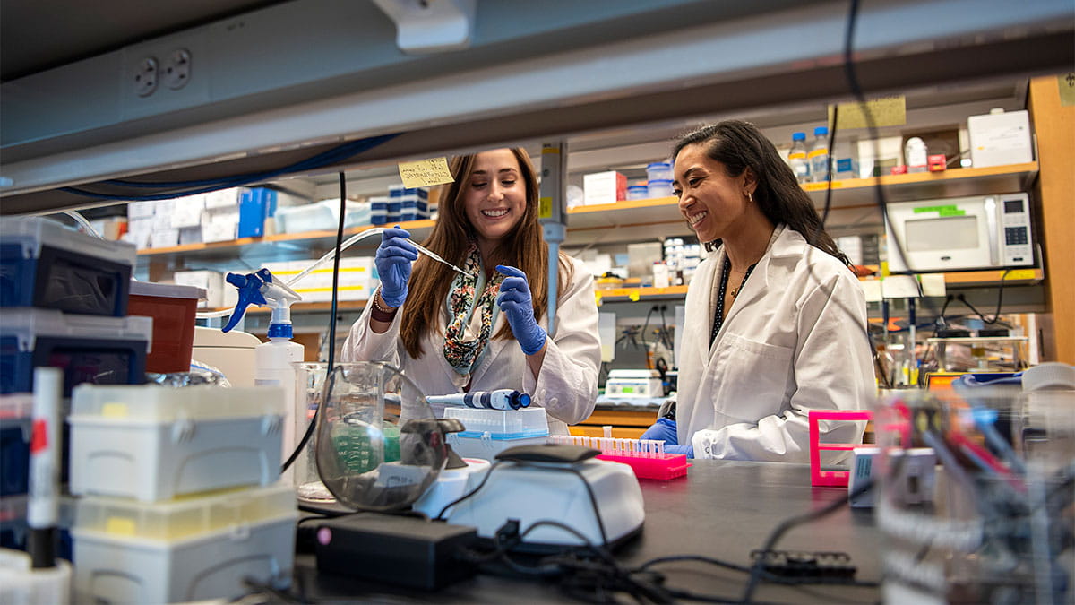 Students in the lab