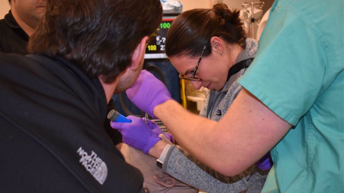 Residents train non-surgical airway procedures on manikins.
