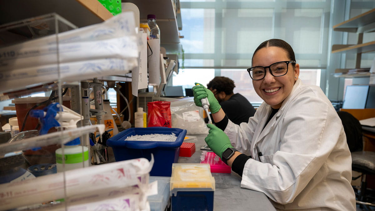 A researcher working in a laboratory