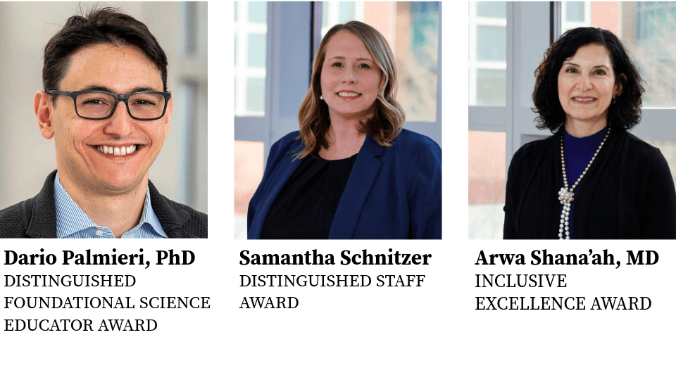 Dean's Excellence Award winners