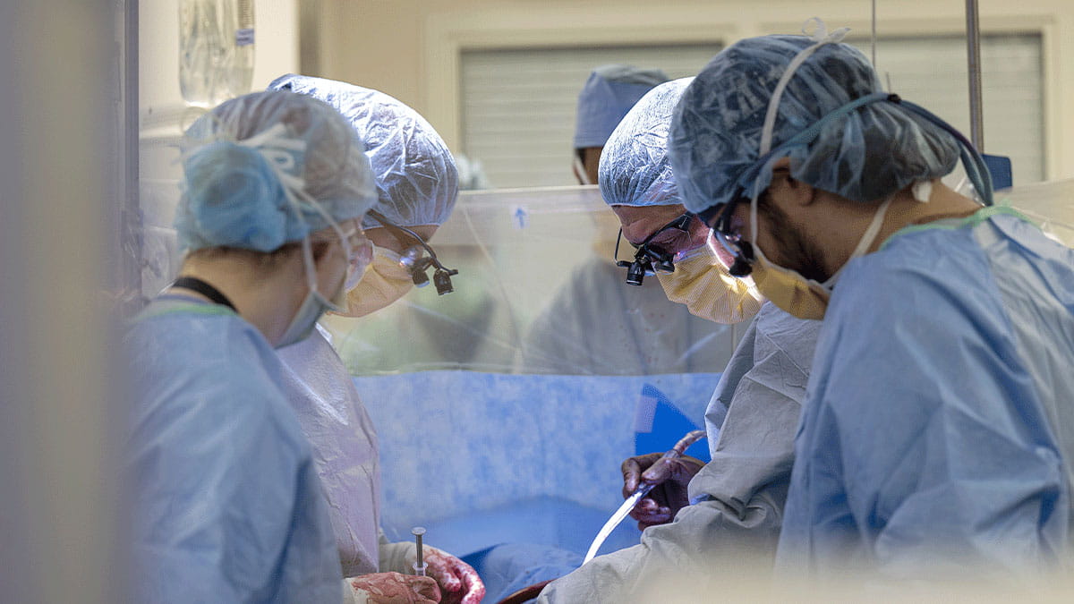 A team of surgeons in blue scrubs and surgical masks performs surgery under bright lights.