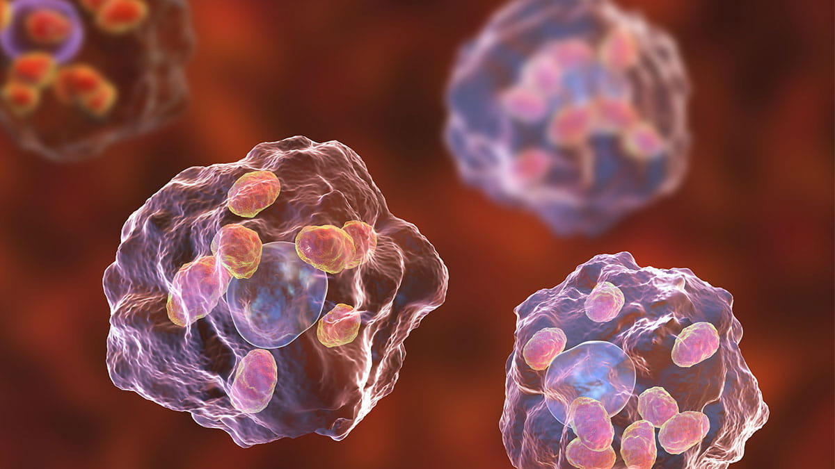 Close-up illustration of cells with transparent membranes and pink nuclei, floating against a blurred red background, conveying a scientific and curious tone.