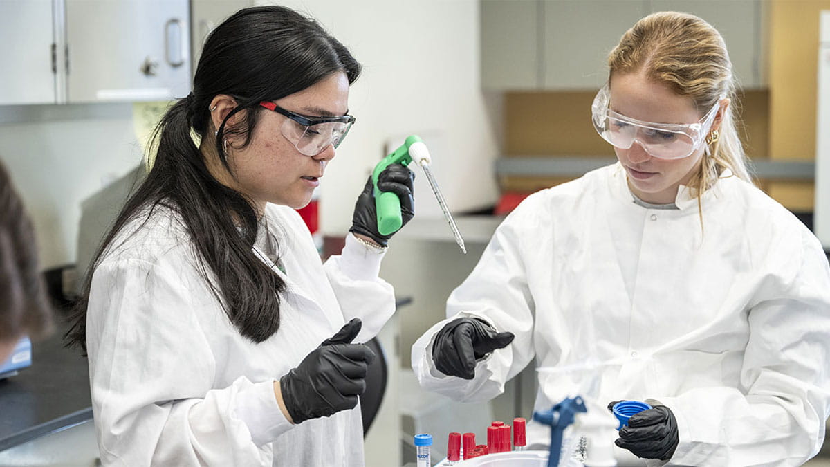 Image shows two medical students in protective gowns and gloves using laboratory equipment while working together on medical research. 