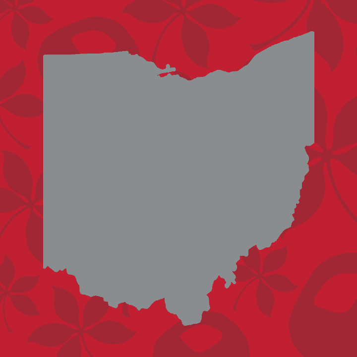 Buckeye-Spirit
