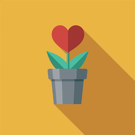 Flower growing out of a pot