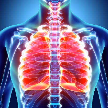 OSU-Team-targets-Immune-Receptor