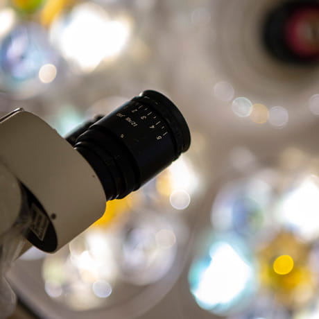 Microscope and Light