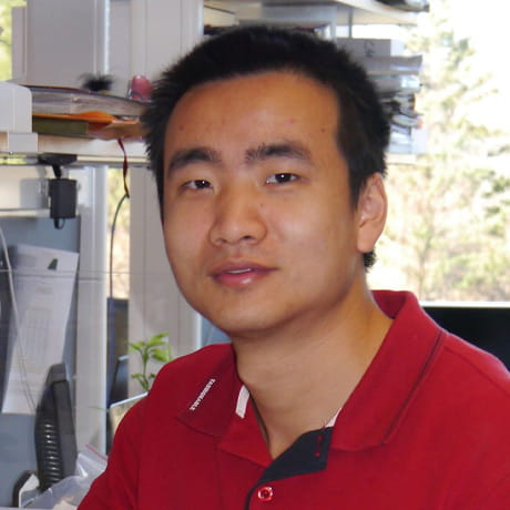 Wen Tang, PhD