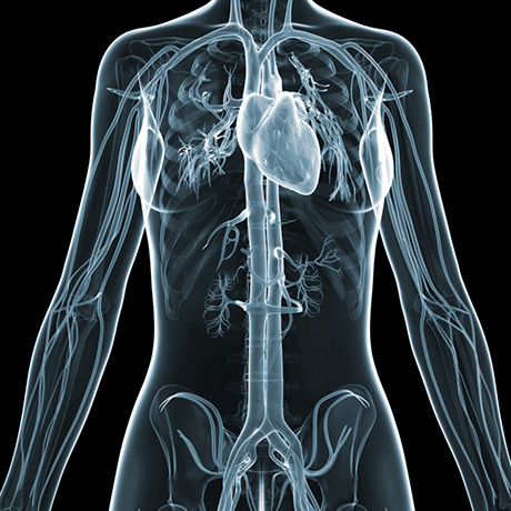 ClinicalCancerGenetics