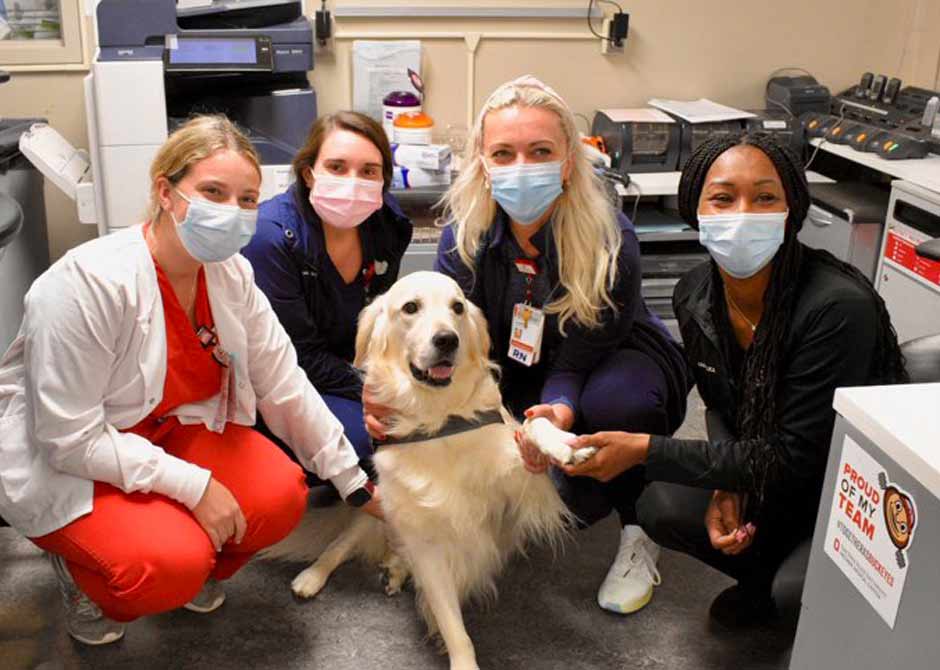 NursingFeatureStoryFlipFlop