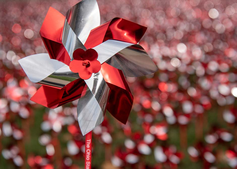 Pinwheel-Garden-2019