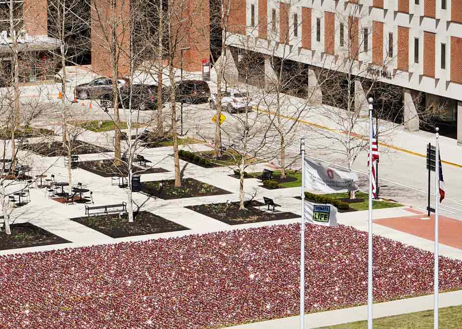 OSU-Pinwheels