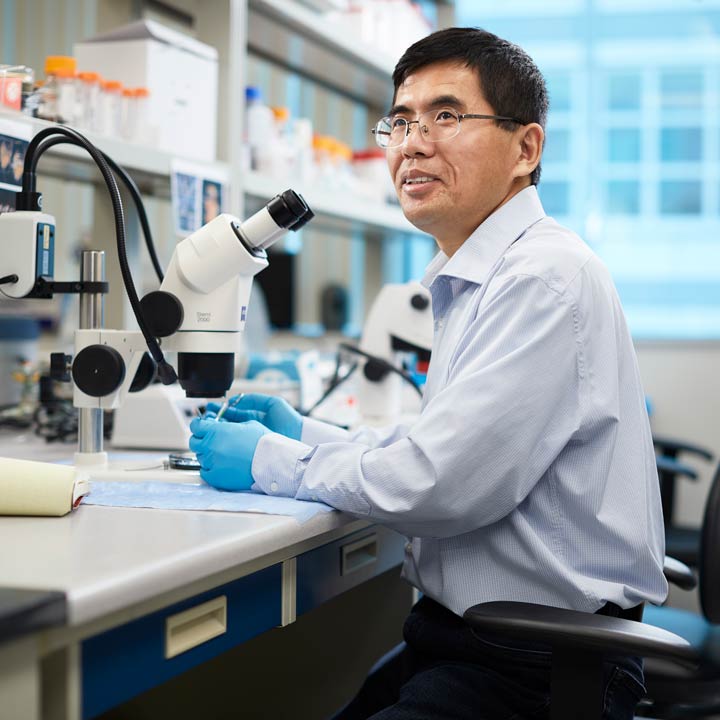 New-hearing-loss-treatments-OSU-Dr-Ruili-Xie-and-Faculty-In-Lab